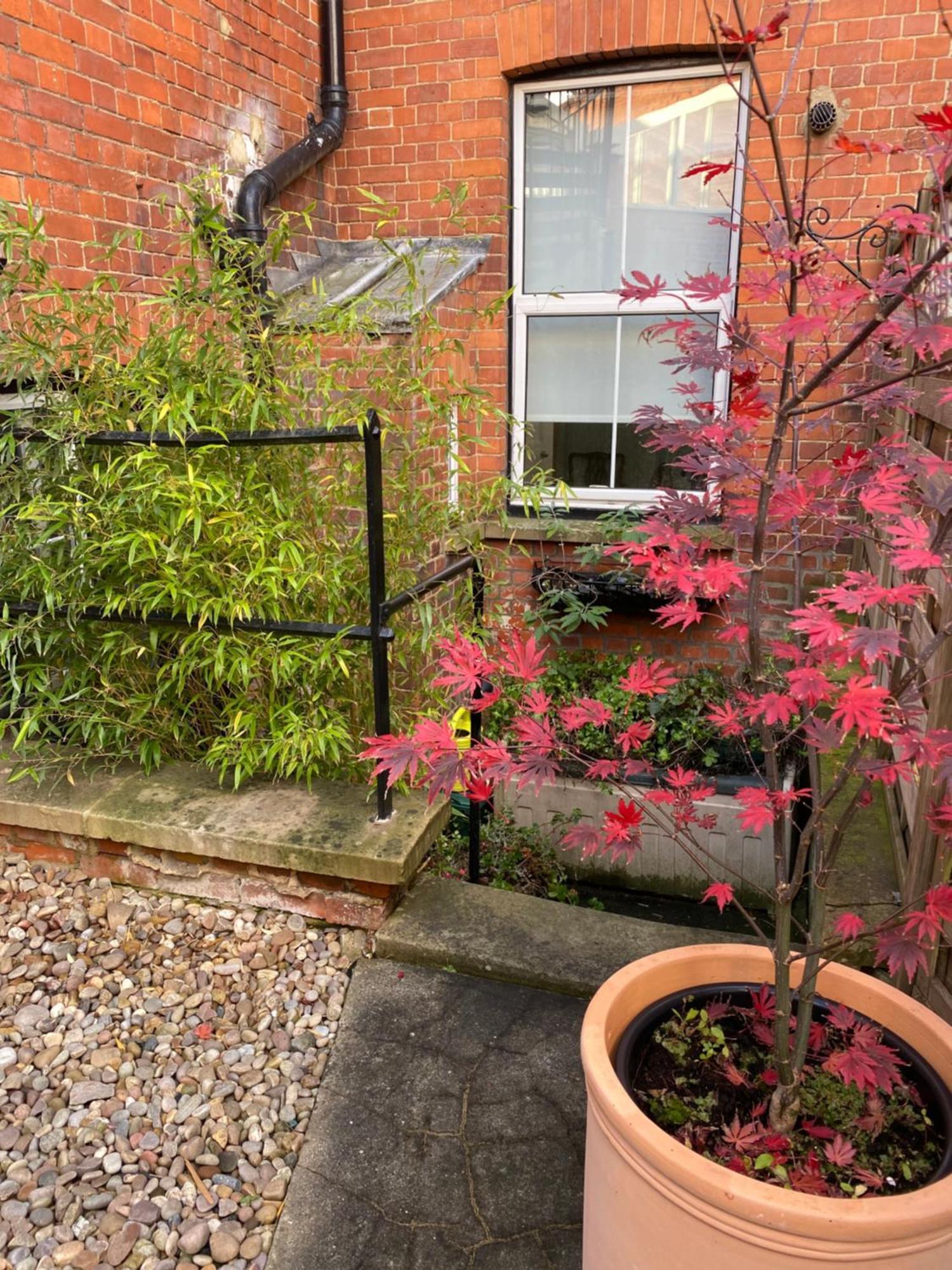 Deluxe Three Bed Bnb In Henley-On-Thames Near Station River & Town Centre Экстерьер фото